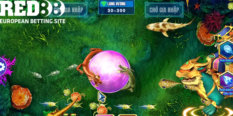 Bạn cần hiểu cơ bản luật chơi game săn cá Long Vương