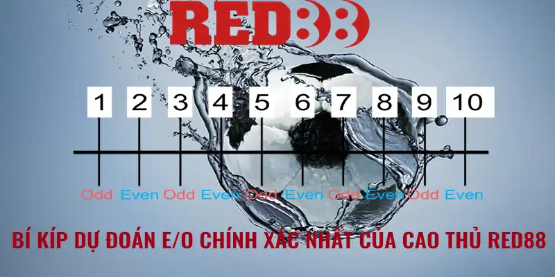 Chia sẻ bí kíp dự đoán E/O chính xác nhất của cao thủ RED88